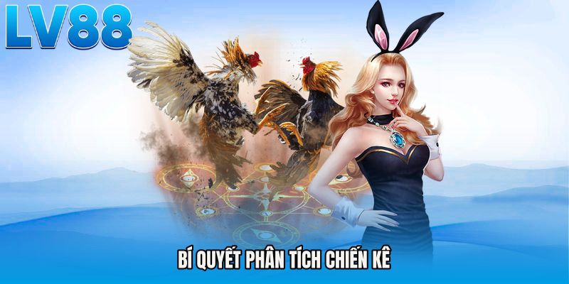 Bí quyết phân tích chiến kê 