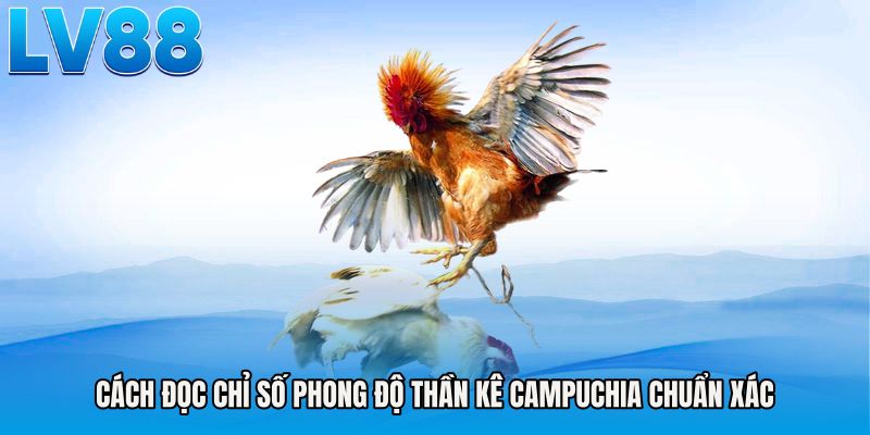 Cách đọc chỉ số phong độ Thần kê campuchia chuẩn xác