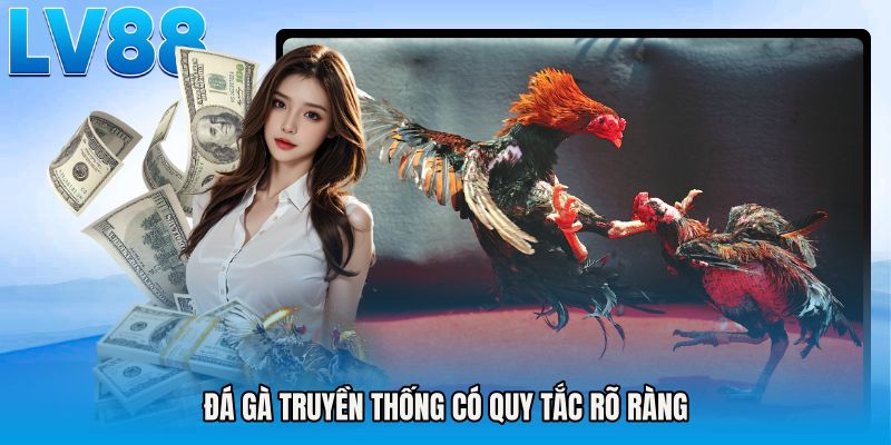 Đá gà truyền thống có quy tắc rõ ràng