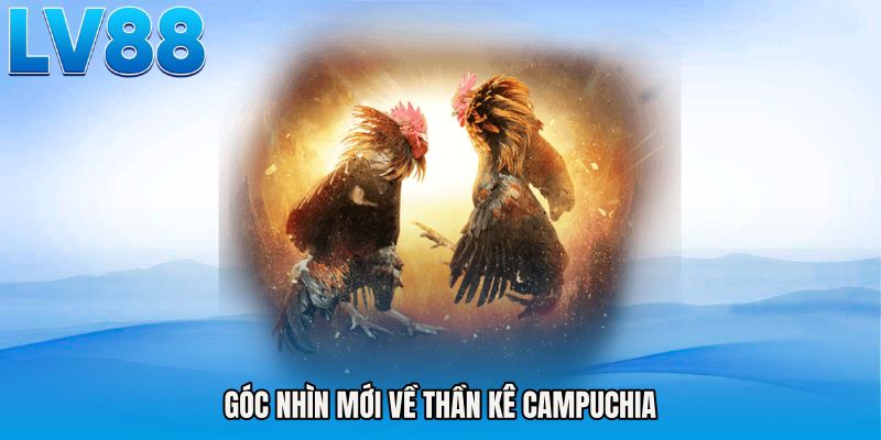 Góc nhìn mới về Thần kê campuchia